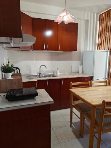 Una cocina o zona de cocina en Apartman Nest