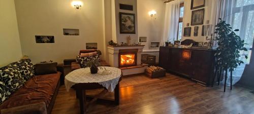 a living room with a couch and a fireplace at Kasztelania Pod Lipami in Zakroczym