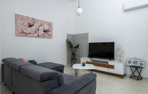 un soggiorno con divano e TV a schermo piatto di Casa Briscola a Marčana