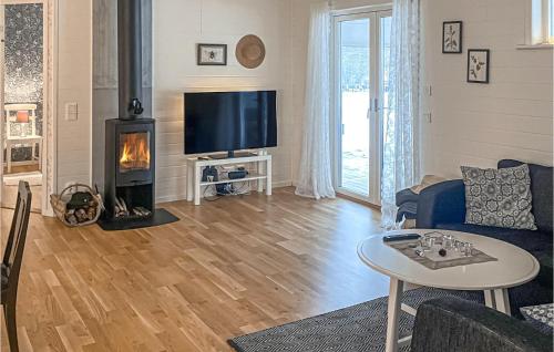 a living room with a fireplace and a tv at Beautiful Home In Ydre in Ekäng