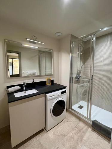 La salle de bains est pourvue d'un lave-linge et d'une douche. dans l'établissement Appartement au coeur du centre historique, à Aix-en-Provence