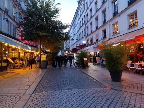 Flat 31m2 near Pompidou Center, Marais, les Halles, mobility lease only
