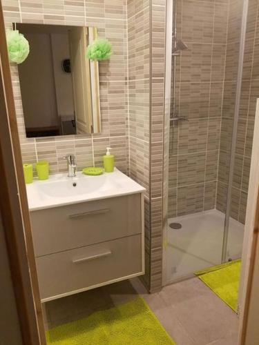 une salle de bain avec un lavabo et une douche dans l'établissement Villa 6 ch ,20 per, piscine chau, au Thoronet