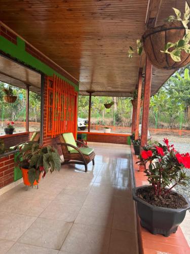 a porch with chairs and potted plants and windows at Finca La Gaviota in Montenegro