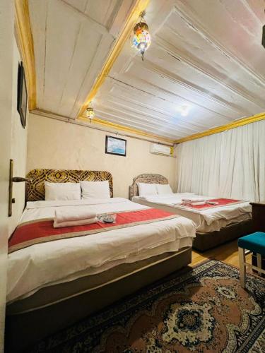 a bedroom with two beds in a room at DEDENİN YERİ İSTANBUL in Istanbul
