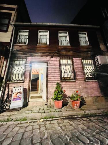 a house with two potted plants in front of it at DEDENİN YERİ İSTANBUL in Istanbul