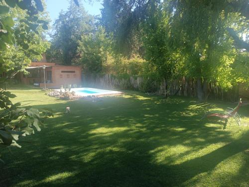 a yard with a swimming pool and a tree at Casa Darragueira de Chacras de Coria in Chacras de Coria