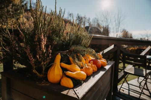 a bunch of pumpkins and vegetables on a wooden table at Penzion Zaječí důl in Mníšek
