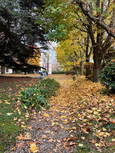 a path covered in leaves in a park with trees at Champions Deluxe in Sarcelles