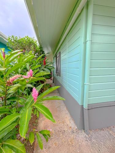 a porch of a house with pink flowers and plants at Bwa Lélé in Sainte-Luce