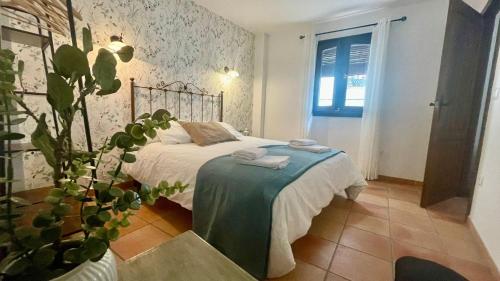 Alojamiento Fuente Alta