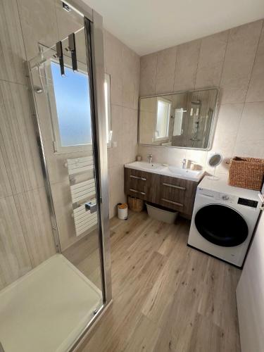 une salle de bain avec douche et lavabo dans l'établissement joli T4 centre ville Porticcio, à Grosseto-Prugna