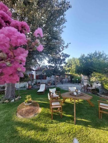 Κήπος έξω από το Annas guesthouse