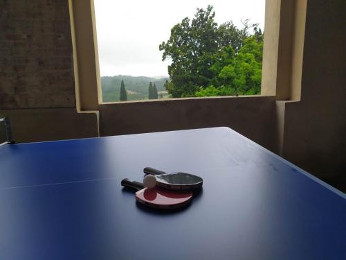 Gambar di galeri bagi Total Tuscany Countryside Villa di Terranuova Bracciolini