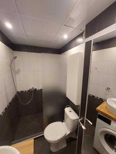 a bathroom with a toilet and a shower and a sink at Sky Hills 2 Apartment in Sandanski