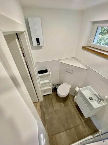 a small bathroom with a toilet and a sink at Ferienbungalow Arne am Wald in Woltersdorf