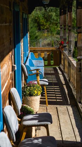 a group of chairs and plants on a train at La poale de munte in Vistisoara