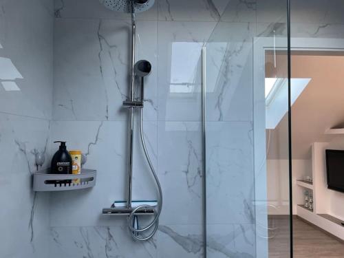 une douche avec pommeau de douche dans une salle de bain dans l'établissement Loft Bellevue, à Saint-Louis