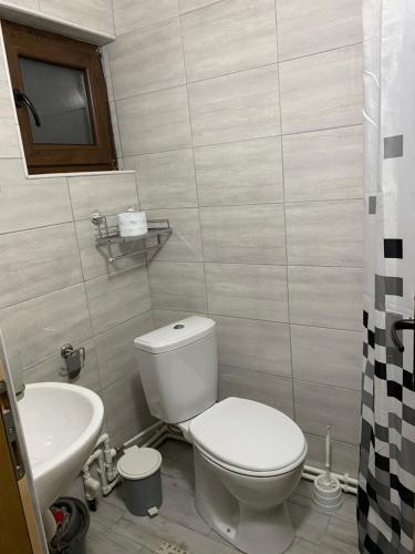 a bathroom with a toilet and a sink at Vila KTM Lisine in Despotovac