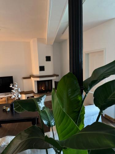 a living room with a large green plant at Ferienwohnung Burg Hausen in Heimbach