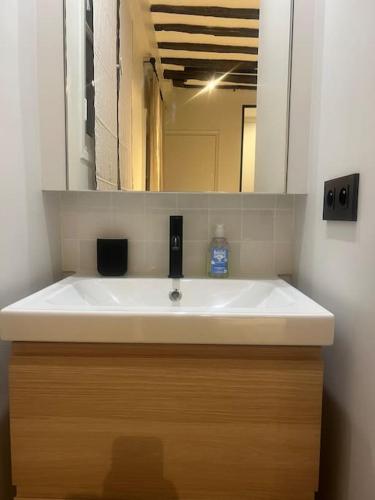 une salle de bain avec un lavabo blanc et un miroir dans l'établissement Magnifique appartement Le Marais Paris, à Paris