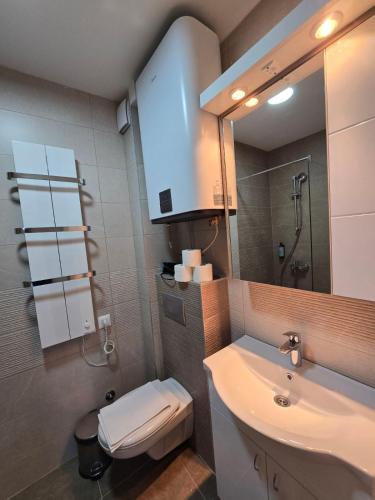 a bathroom with a sink and a toilet and a mirror at Zlatiborske terase Spa&Wellness in Zlatibor
