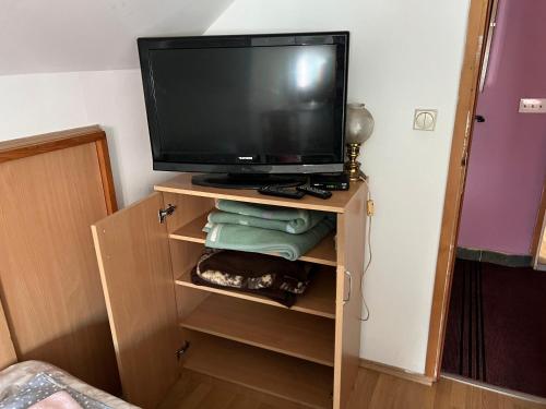 TV a/nebo společenská místnost v ubytování Slobo Velickovic
