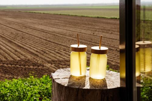 two yellow cups sitting on a stump next to a field at Slapen op de Dijk - Tiny House in Kraggenburg