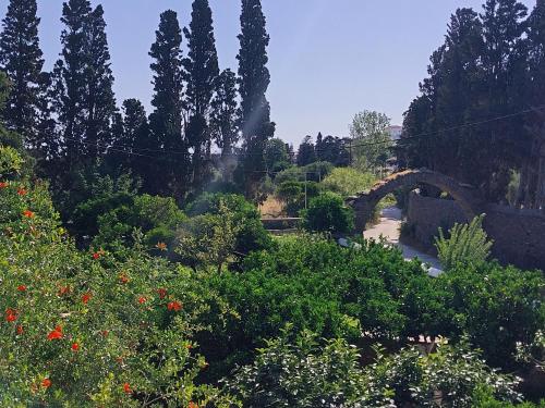 Φωτογραφία από το άλμπουμ του Saint Louis στην Άνδρο