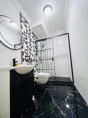 a bathroom with a toilet and a sink and a mirror at Pembe Köşk Old City Center in Istanbul
