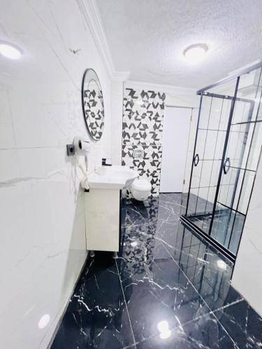 a bathroom with a sink and a toilet and a shower at Pembe Köşk Old City Center in Istanbul