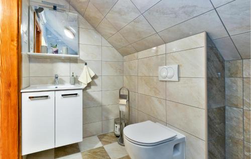 a bathroom with a toilet and a sink at Awesome Home In Breznicki Hum in Donje Makojišće
