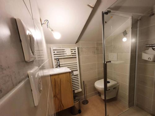 une salle de bain avec toilettes, lavabo et douche dans l'établissement Résidence La Marelle - MARELLE 517 MAE-0721, à La Plagne Tarentaise