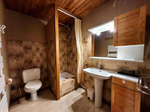 une salle de bain avec toilettes et lavabo dans l'établissement Résidence Les Belles Feuilles - Appartement 2 pièces pour 6 personnes de 38m² MAE-0951, à La Plagne Tarentaise