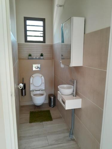 a small bathroom with a toilet and a sink at Villa paisible in Goyave