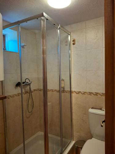 a bathroom with a shower and a toilet at Quinta dos Mascarenhas Nature House in Oliveira do Hospital