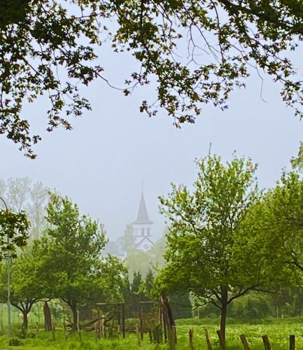 a church in the distance with trees in the foreground at Ferienwohnung Burg Hausen in Heimbach
