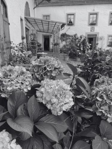 a garden of flowers in front of a house at Ferienwohnung Burg Hausen in Heimbach