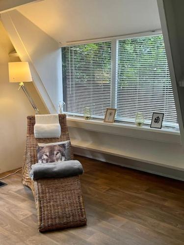 a living room with a chair with a dog on it at Cozy warm chalet in wooden nature near Maastricht-Gothamette House in Lanaken