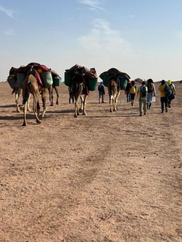 Gallery image of jardin du desert in Mhamid
