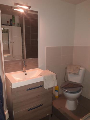 une salle de bain avec toilettes, lavabo et miroir dans l'établissement Petit maison avec jardin, à Roquettes