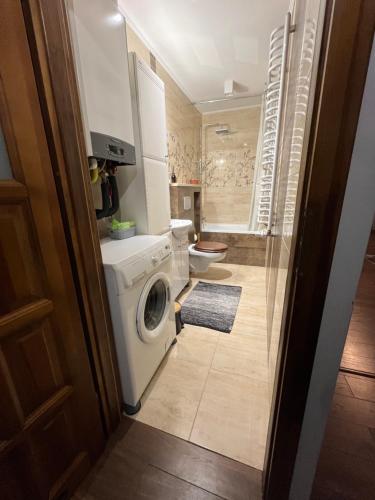 a bathroom with a washing machine and a toilet at Apartamenty Łuczkowskiego z widokiem na studnię 4 in Chełm