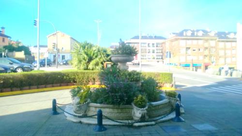 a large planter with plants in the middle of a street at Hotel Nueva Plaza in Maliaño