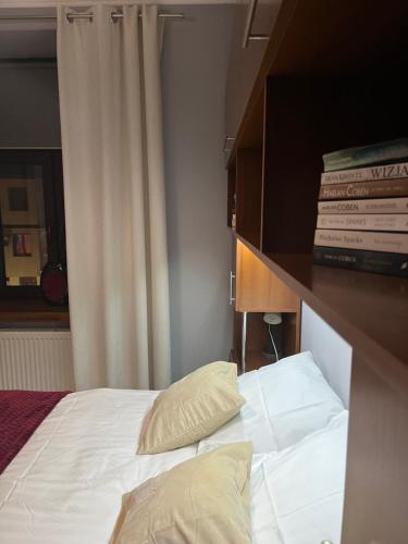 a bedroom with a bed with a pillow on it at Apartamenty Łuczkowskiego z widokiem na studnię 4 in Chełm