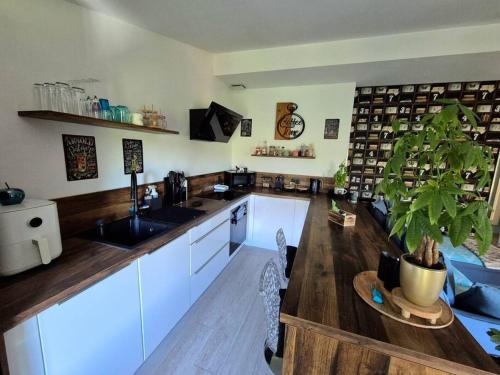 une cuisine avec des armoires blanches et une plante en pot dans l'établissement Appartement T3 campagne, à Forcalqueiret