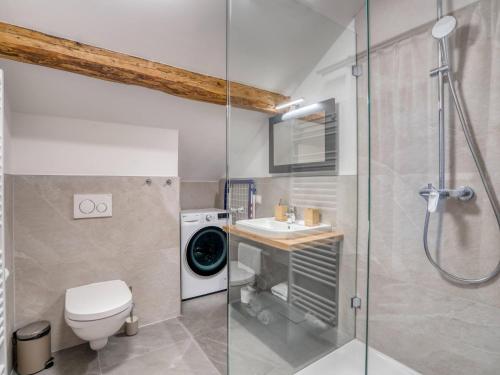 a bathroom with a shower and a toilet and a sink at Chalet Bergglück in Sellrain