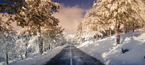 a road covered in snow with trees on either side at Mountain Lodge T3 Duplex Abrigo do Lobo in Covilhã