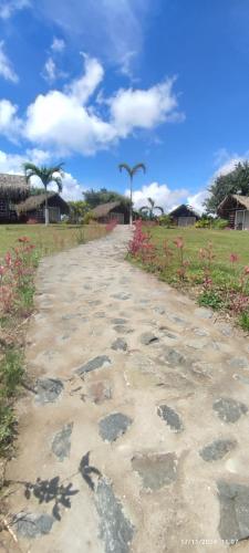 a stone road leading to a field of flowers at Las cabañas in El Perico