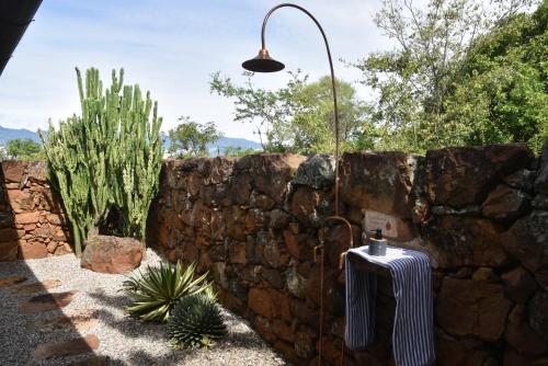 a stone wall with a lamp and a cactus at B&B Buenavista Barichara in Barichara