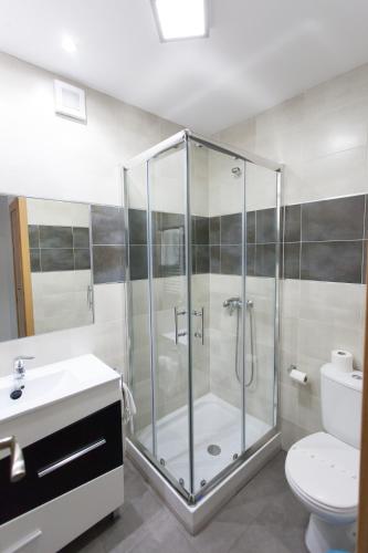 a bathroom with a shower and a toilet and a sink at Hostal Real Aranjuez in Aranjuez